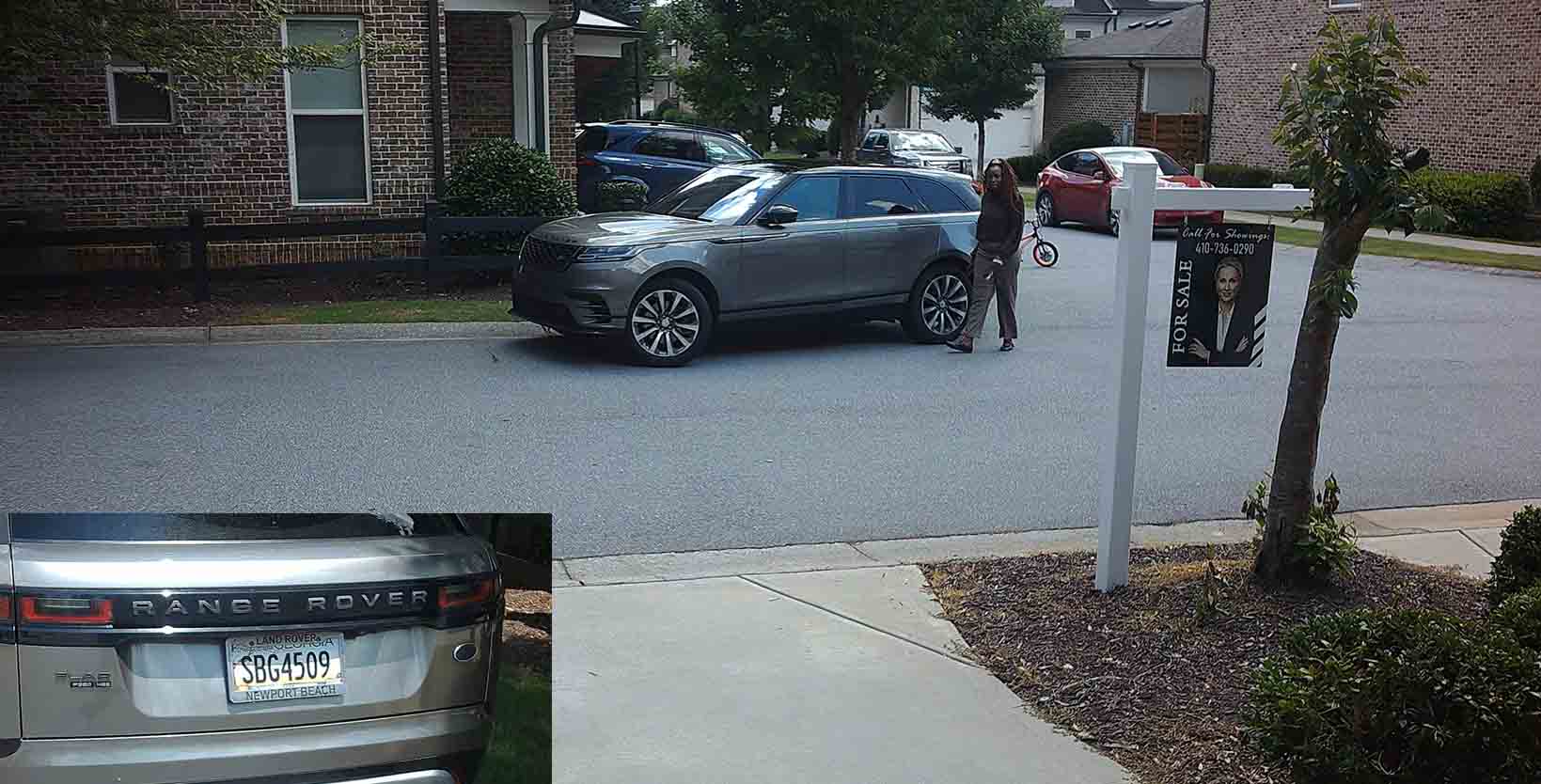 Degenerate Animals Parking on the Street At Roswell Towneship